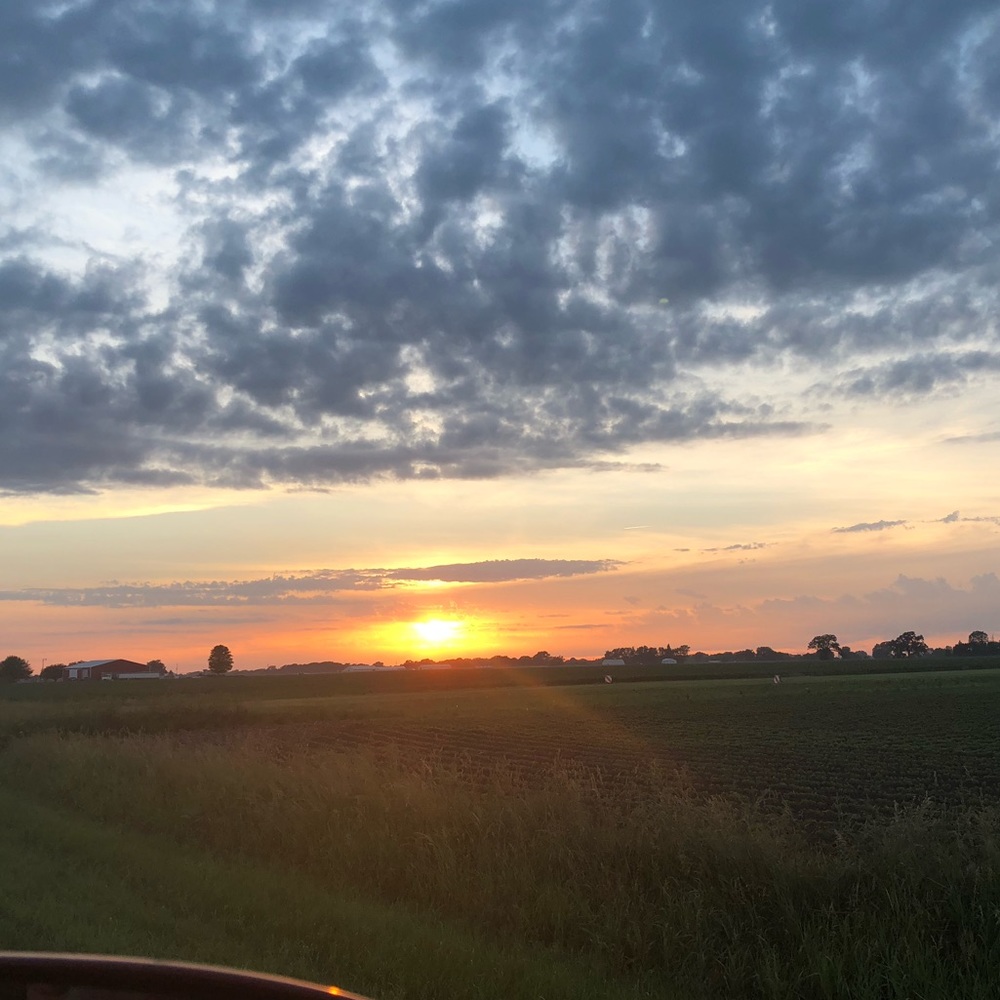 Meet your Posher, Cally